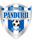 Nombre del equipo viitorul dăești. Acs Viitorul P Targu Jiu Spielplan 20 21 Transfermarkt