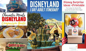 Pin On Disneyland Vacation