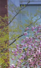 2022HONOR ROLL of DONORS