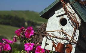 Bristol manor of warrenton is a senior care facility located at 815 woolf rd in warrenton, missouri. Victorian Place Of Washington Senior Living 5 Reviews