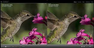 The png format is different from the jpeg format in that it attempts to replicate the original exactly. Rx10iii Jpeg Vs Raw Sony Cyber Shot Talk Forum Digital Photography Review