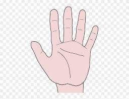 Flash card picturing body parts like lips, chin, ear, nose, nostril, tongue, hair, moustache, beard. Hand Clipart Hand Palm Sign Language Free Transparent Png Clipart Images Download