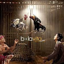 Www.cf88vn.com agen cf88 vietnam sabung ayam dalam situs judi taruhan sabung ayam live online di www.cf88id.com, www.cf88th.com, dan www.cf88indo.com segera daftarkan diri anda di agen resmi cf88 atau cf88vn, situs taruhan sabung ayam terbaik di asia tenggara terutama di indonesia. Agen Sabung Ayam On Twitter Https T Co B8ng6z9yiz Website Agen Sabung Ayam Vietnam 2016 Https T Co Kzhmopjycp