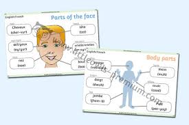 You rarely say things like my leg or his hair. instead, the french use reflexive verbs to show possession with body parts. Printable Language Resources Early Years Eyfs Preschool Editable Topic Resources Little Owls Premium A Little Owls Resources Website