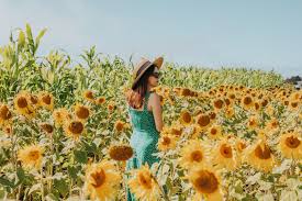 Alena jean and her team created the most beautiful floral arrangements for our wedding on 6/10/17 in half moon bay. Bay Area Sunflower Fields In Half Moon Bay Bay Area Day Trip