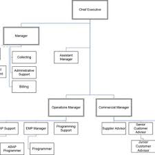 pdf the network organizational chart as a tool for managing