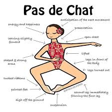 Pas De Chat In English Pas De Chat Means Step Of The Cat Although In The French Technique This Move I Ballerina Artist Ballet Positions Dance Technique