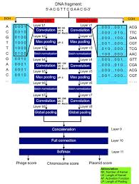 Pin On Gigascience Papers