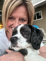 Introducing Fenway, a 1-year-old Vermont dog in Virginia