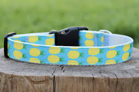 Bird Safe Cat Collar Australia Pineapple Dog Collar Diy Dog Collar Handmade Dog Collars Dog Collar