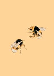 Pngkit.com is a large png transparency image collection, which provides free hd png images, png cliparts, png silhouettes. Bees Wallpapers On Wallpaperdog
