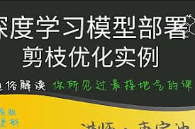 唐宇迪深度学习模型部署与剪枝优化实例(完结无密) - 独角兽资源站