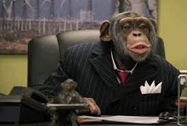Maybe you would like to learn more about one of these? Chimp In A Suit Chimp Sneaky Animals Monkey