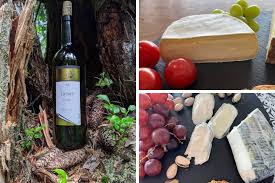 Capture Summer With The Perfect Swiss Artisanal Cheese And Wine Pairing Solaris Sunshine In A Glass Vivamost