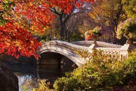 Bow Bridge In Autumn Bridges Wallpaper Id 1599372 Desktop Nexus Architecture Autumn Landscape Pictures To Paint Fall Pictures