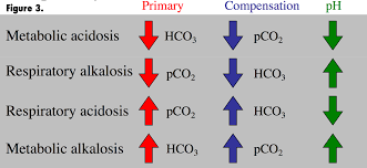 50 Clean Respiratory Acidosis Chart