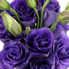 Flower that looks like a rose with eustoma flower picture. 11 Mystic Purple Flowers From Around The Globe Ferns N Petals