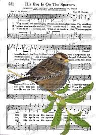 Bird Bird Bird Bird Is The Word Lyrics Pin By Gayle Montayo Studio On Birds Birds Bird Houses Hymn Art Sheet Music Art Hymn