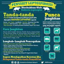 Masalah kencing tikus, leptospirosis, air kencing tikus, tanda penyakit kencing tikus, rawatan penyakit kencing tikus, penghalau tikus ultrasonik, rat ultrasonic repeller, pest chaser ultrasonic, apa itu leptospirosis. Perintis Massa Tanda2 Penyakit Kencing Tikus Facebook