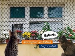 Mietirrtumer Katzengitter Sind Laut Amtsgericht Schorndorf Auf Dem Balkon Erlaubt Wenn Sie Keine Optische Beeintrachtigungund Kei Balkon Katzen Katze Balkon