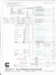 1996 kenworth w900 wiring schematic. Wiring Diagrams L10 M11 N14 Throttle Fuel Injection