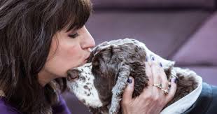 You'll want to be especially compassionate to your dog during this time, and work with your vet to ensure he remains comfortable as possible. How To Cope With The Fear Of My Dog Dying Fidose Of Reality