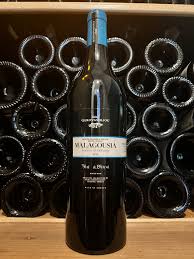 Image result for Vangueria domatiosa