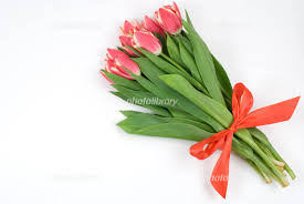 チューリップの花 エキゾチックな花 素晴らしい花 フレッシュフラワー きれいなバラ 花の植え付け 美しい花 ピンクのチューリップ. èµ¤ã„ãƒãƒ¥ãƒ¼ãƒªãƒƒãƒ—ã®èŠ±æŸ å†™çœŸç´ æ 1253094 ãƒ•ã‚©ãƒˆãƒ©ã‚¤ãƒ–ãƒ©ãƒªãƒ¼ Photolibrary