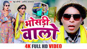 Bhosdi video
