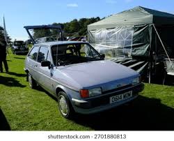 Image result for Light Blue 1980 Fiesta