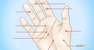 how to read palms 9 steps with pictures wikihow