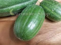 Image result for Cucumis meeusei