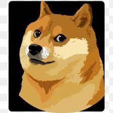 It is based on the doge meme and it can be purchased for 250 robux. Doge Roblox Shirt Www Qyamtec Com
