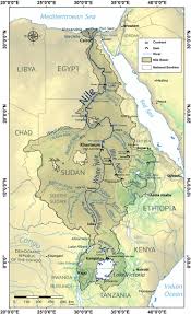 Image result for Bothriocline ruwenzoriensis