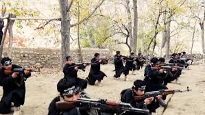 It launched 250 attacks on us, pakistani. 9p8tsapicobtmm