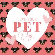Hello, guys, today is national love your pet day 2021! February Content Calendar Ideas Templates Easil