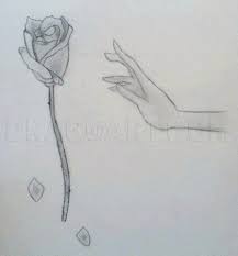 Drawing anime hands can be a little easier then drawing realistic hands as a lot of the details are left out. How To Draw A Hand Reaching For A Rose Step By Step Drawing Guide By Xxsoulsurvivorxx Dragoart Com