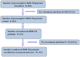 Flow Chart Showing Pre Diagnosis And Pre Treatment Attrition