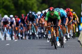 His best results are 2x gran premio bruno beghelli, 1st place in tre valli. This Time Its Victory For Colbrelli On Stage 3 At Dauphine Team Bahrain