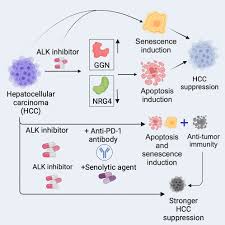Image result for ALK Inhibitor