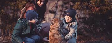 5.0 (1 review) (1) unclaimed. About Us Pets At Peace Toronto Pet Cremation And Pet Loss Services