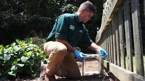 We protect your family and home from damaging, annoying. Peachtree Pest Control 326 Brogdon Rd Suwanee Ga 2021