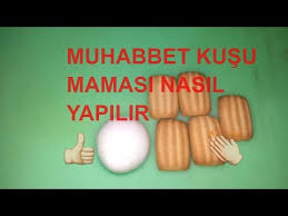 Muhabbet Kusu Mama Tarifi Youtube