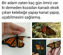 Vallahi Bravo Tebrik Ediyorum Vicdan Boyle Bir Sey Iste Kavanozlar Yasam Koclugu Biliyor Muydunuz