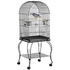 Pet birds for sale finches parakeets conures more. 59 Rolling Large Metal Bird Cage Open Playtop With Stand Perch For Parrot Finch Pet Supplies Bird Supplies Cages Ebay Conure Bird Cockatiel Bird Cage