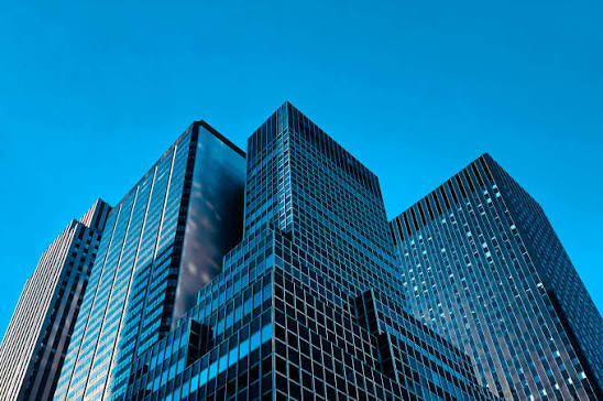 Tim Nexora Consulting Profesional