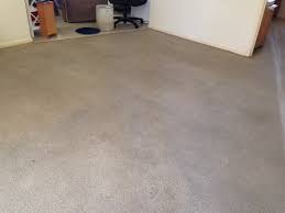 If you're looking for an affordable carpet cleaner in the morayfield area look no further than luke's carpet cleaning and pest control. Elite Carpet Cleaning And Pest Control In Burpengary Brisbane Qld Pest Control Truelocal