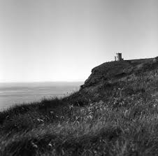 Image result for Delta 100