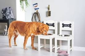 Diy Hundenapf Futterstation Selber Bauen Hundenapf Hundebett Diy Hundehaus Diy