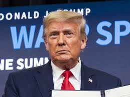 Will Knecht Archives